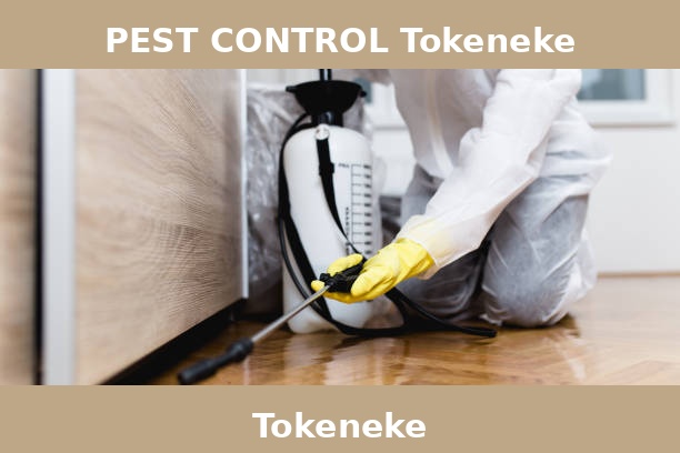 PEST CONTROL Tokeneke